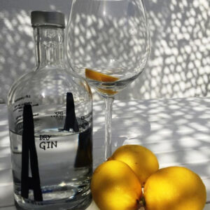 Astobiza London Dry Gin Prémium