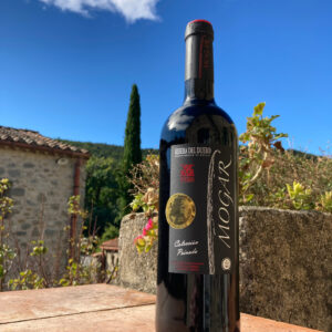 Mogar Colección Privada